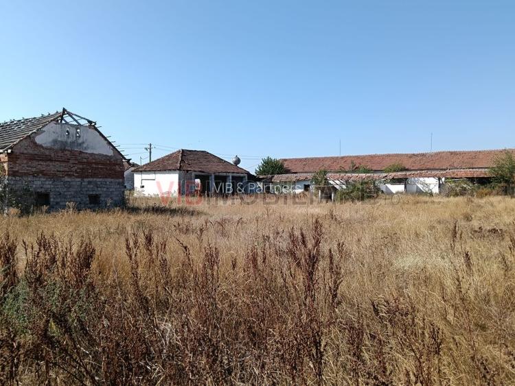 OPORTUNITATE DE INVESTIȚIE – PISCHIA, JUDEȚUL TIMIȘ - 10