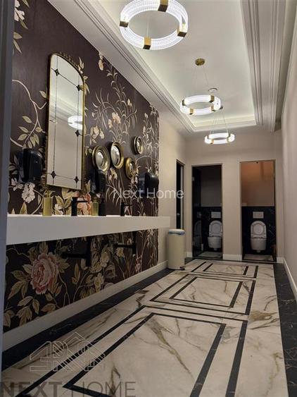 SPATIU COMERCIAL TEATRU, ZONA ZERO - 19