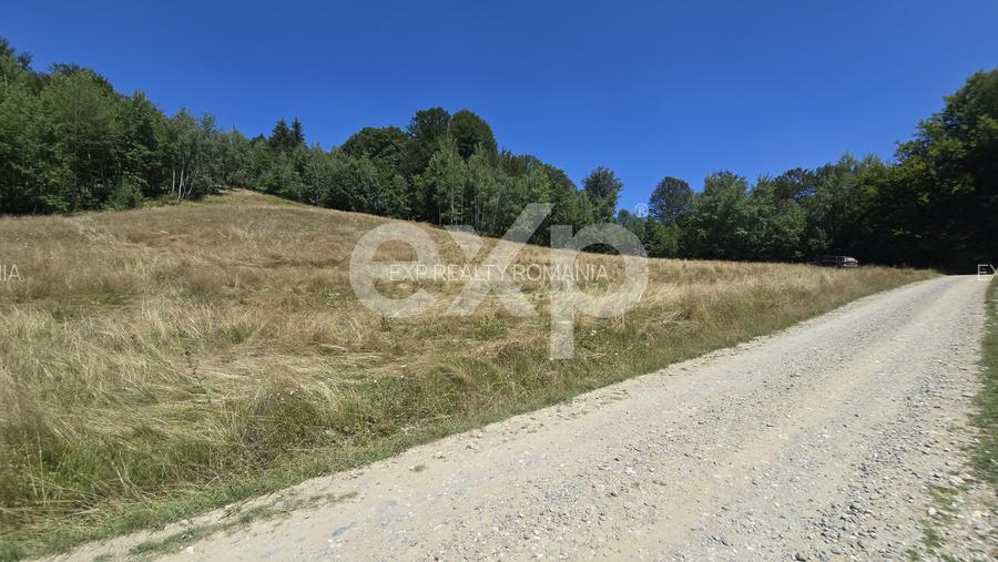 36.200 mp teren | Poiana Mărului | Platou | Apă și curent | 1 km de Sergiana - 5