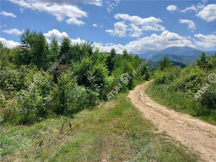 Teren intravilan 3900 mp Porumbacu de Sus, Sibiu - 13