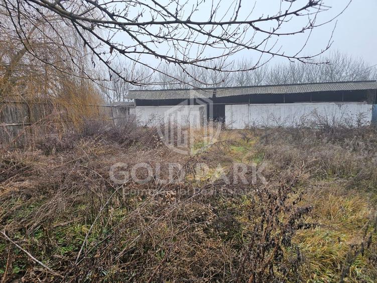 Se vinde urgent !! Spatiu Industrial - Vanzare - Borsa
