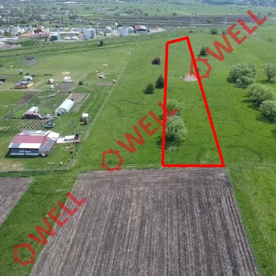 De vânzare teren extravilan în Sfântu Gheorghe!