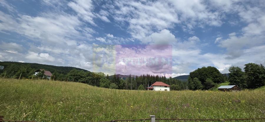 Vila din padure in Valea Doftanei - 34