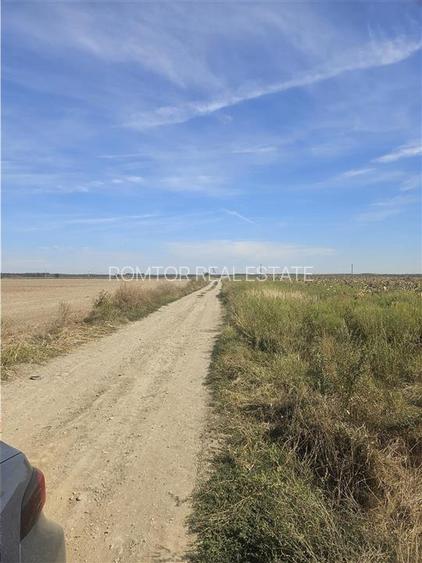 Oportunitate Investitie - Dragomiresti Vale - Zurbaua - A1 - A0 - sos Centura - 7