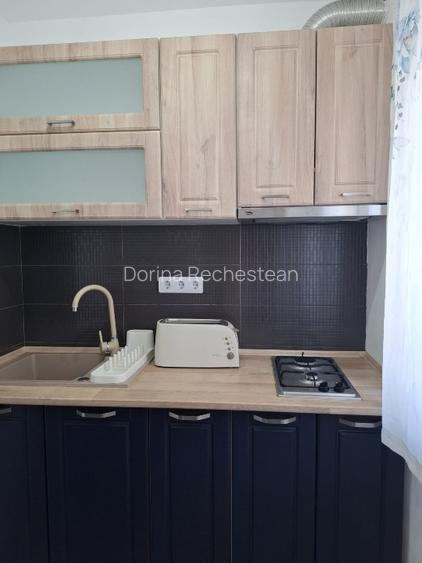 Direct proprietar | Garsonieră elegantă și cochetă, etaj 2, Micălaca - Zona 300 - 9