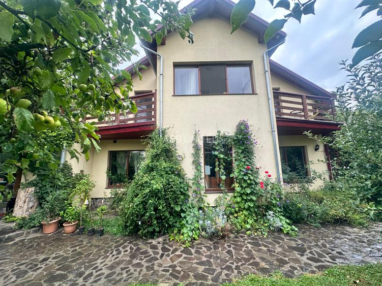 Sighișoara - Pensiune pe un domeniu de 8000 mp - 2