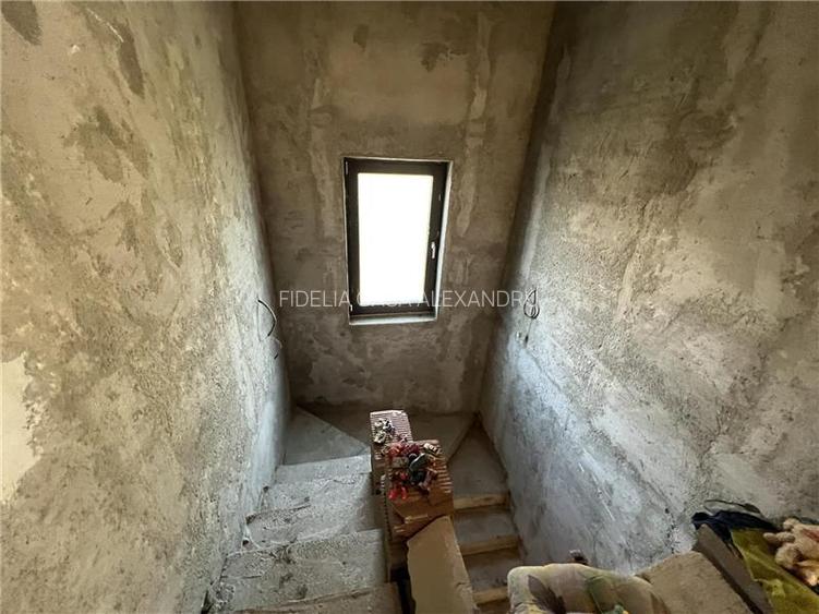 Casa la rosu, de vanzare in Lunca Cetatuii - 9