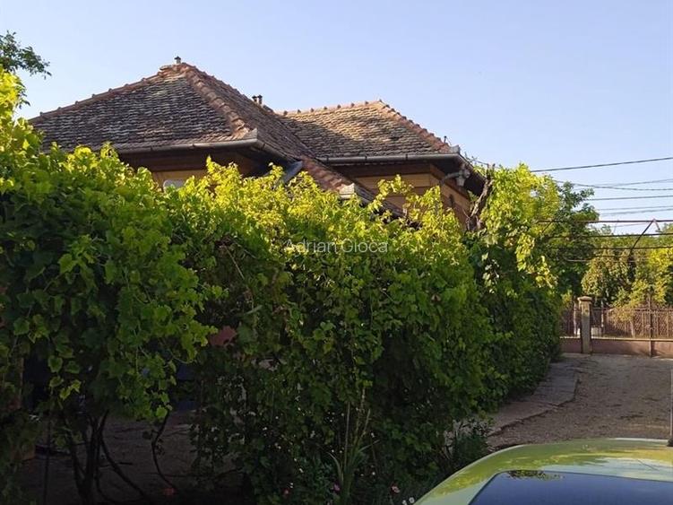 Casa comuna Giubega 45km craiova - 3