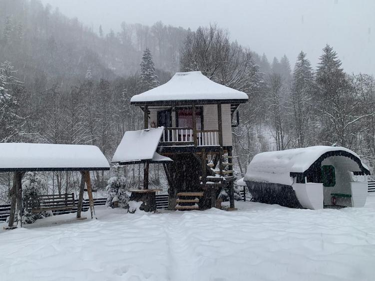 🌲 Cabana de Poveste | Molid – Vama