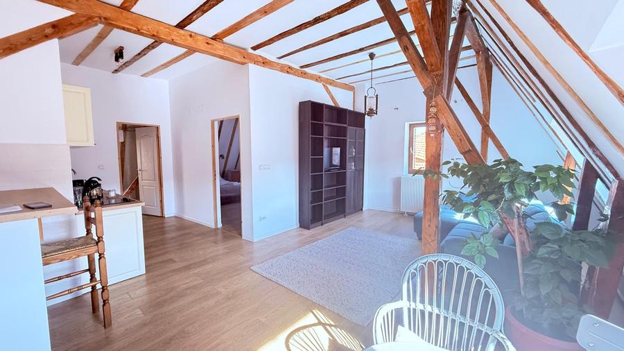Comision 0% Apartament cu 2 Camere Rustic, Centrul Vechi