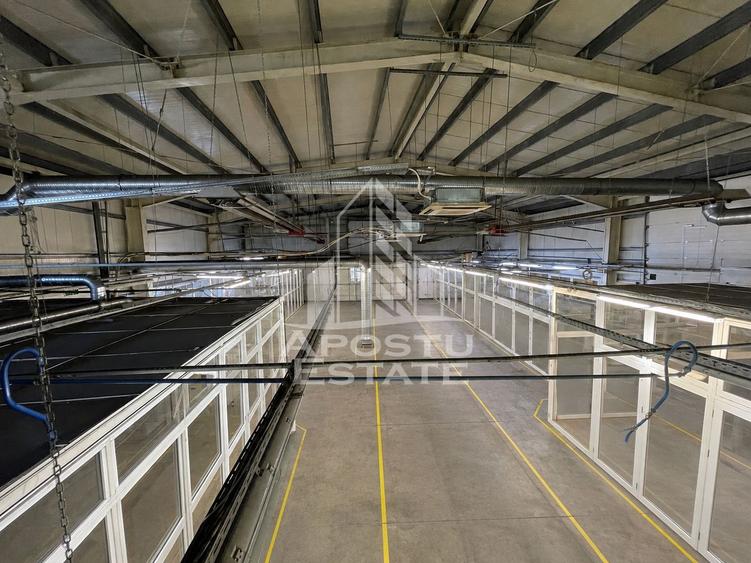 Hala industriala cu birouri, locatie foarte buna, Buziasului.