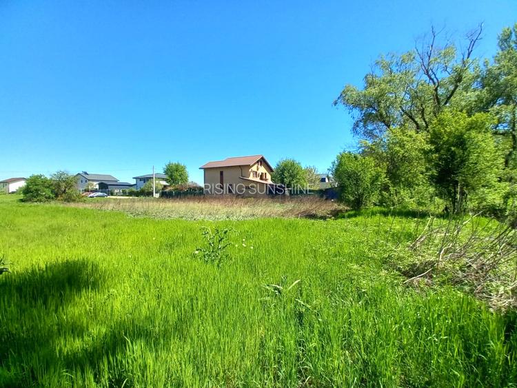Teren intravilan | 1000 mp | Magurele | Toate utilitatile - 6