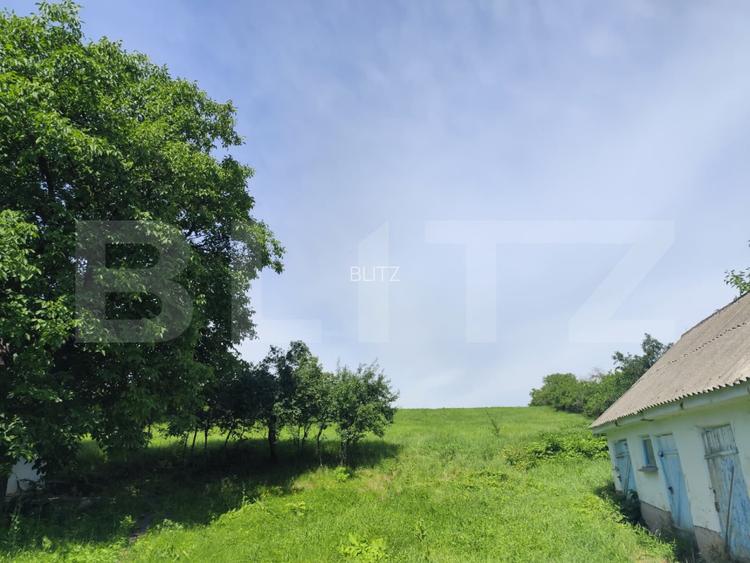 Casa 3 camere, 110 mp, 4800 mp teren, zona Horlesti - 2