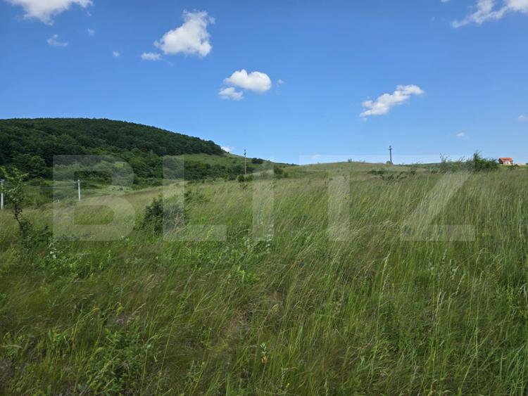 Teren potrivit pentru investitie in zona complexului Domeniul Regilor.