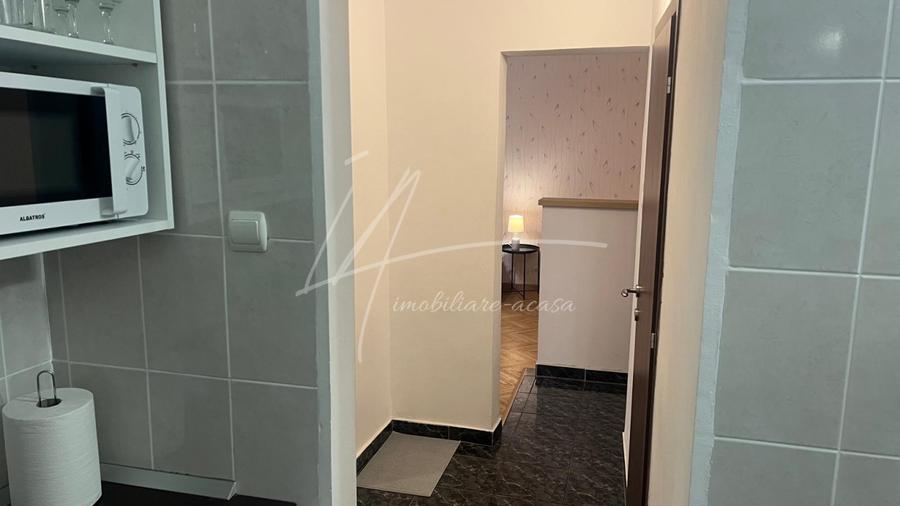 Apartament cu 2 camere -Sala Palatului-str. Ion Campineanu 23. Pet friendly.