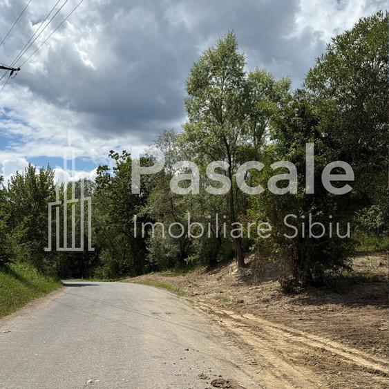 TEREN INTRAVILAN DE VÂNZARE ÎN BRADU – 2.600 MP