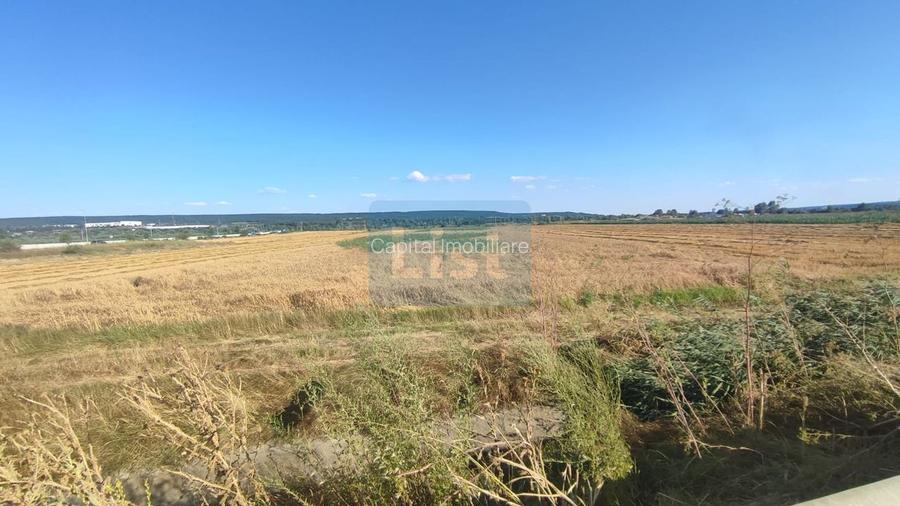 OFERTĂ PREMIUM – Teren intravilan 6.000 mp, Micești (Arges), pe DN 73 - 5