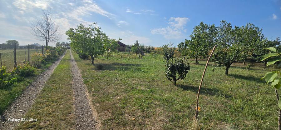 Teren cu cabanuta de lemn in Zaicesti