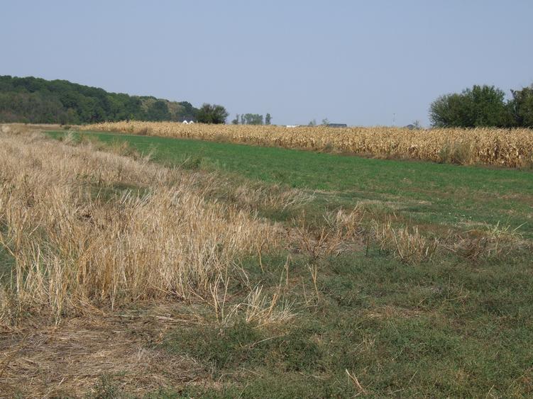 Teren Clinceni-Ordoreanu padure