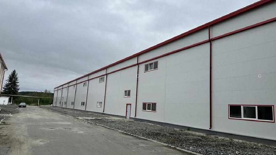De Închiriat - Hală Industrială Modernizată (2024) - 6857 mp - Avrig, J