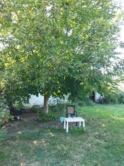 Vila de vanzare cu toate utilitatile