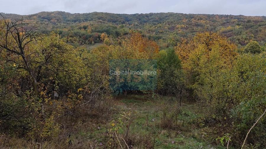 Vanzare sau Schimb! Central Drajna de Jos 5000 mp - 8