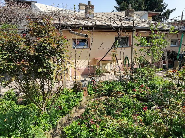 CASA 3 CAMERE SI CURTE - GIULESTI STRADA ARTARULUI - TEREN 296 MP - 4