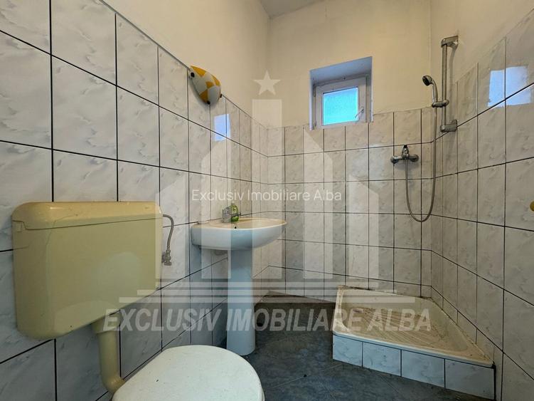 Casa individuala | Spatiu comercial | 306 mp | 415 mp teren | Maieri - 13