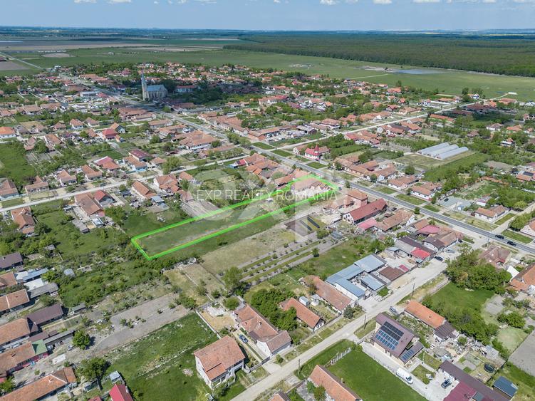 Spațiu Comercial + teren cu izvor de apă minerală în Bacova - 13