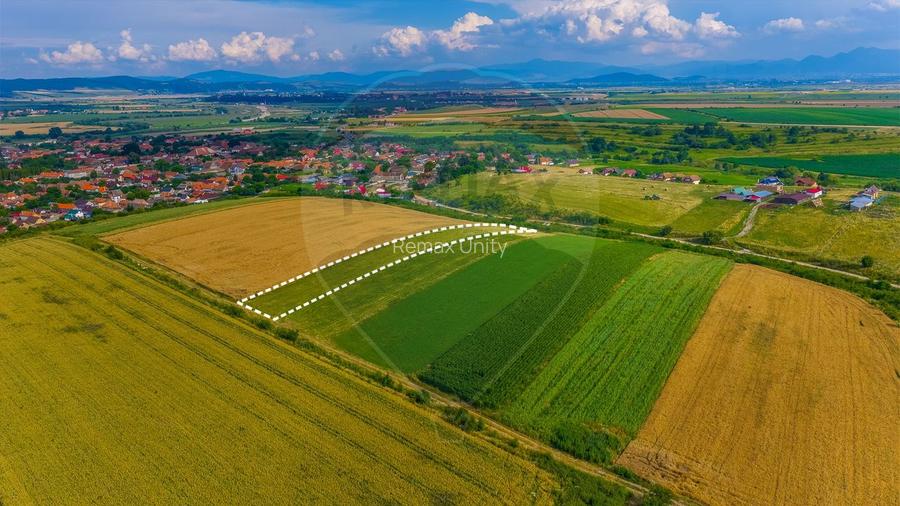 Oportunitate pentru fermieri: 10.800 mp teren arabil în Rotbav, Brașov - 2