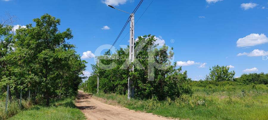 Teren extravilan deosebit, 5755 mp pe malul lacului Miersig, Bihor - 14