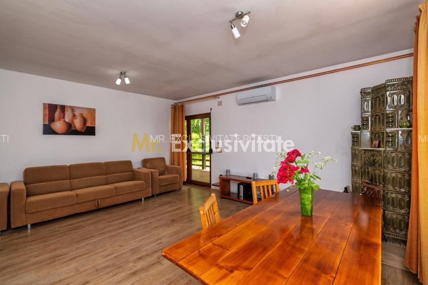 Casa moderna si casa bunicii + 6300 mp teren,Oaza autentica in Corbi Arges- - 11