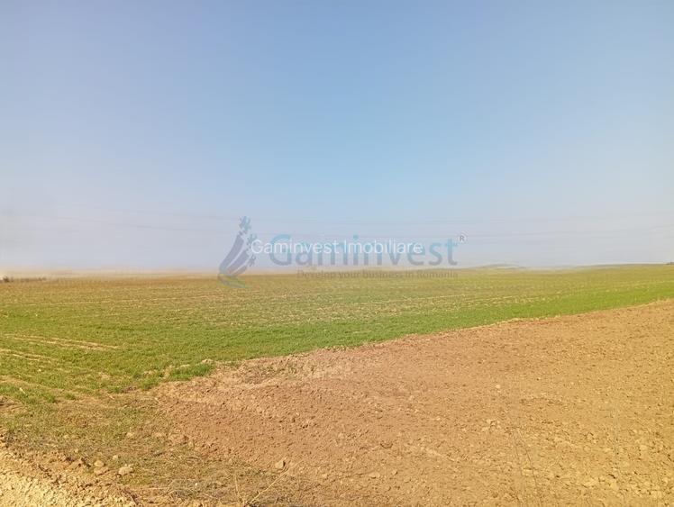 Teren de vanzare in Biharia, cu o suprafata de 20000 mp intravilan - 4