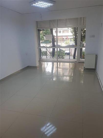 Spatiu comercial, Alexandru cel bun