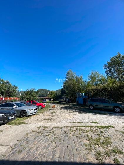 Teren constructii intravilan 3600mp Morilor - 5