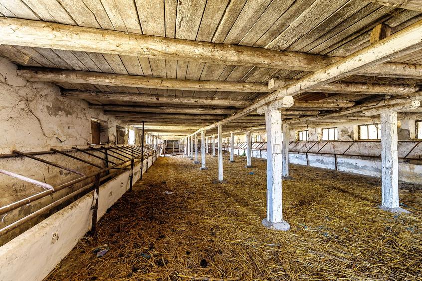 Fermă Mândruloc 2,5 ha