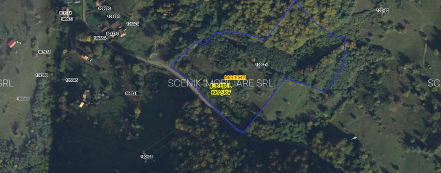 Investitie Smart in Moieciu, 3.1 ha, Panoramă 360 Bucegi - Piatra Craiului - 20