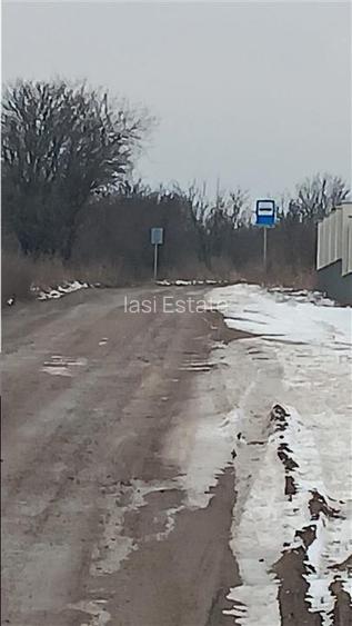Visan str Dealul Craitelor TEREN 6383mp  si 4217mp utilitati  si transport in co - 7