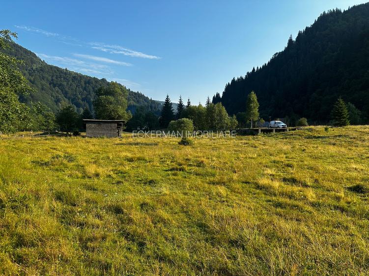 Rucar-Satic, teren intravilan de vanzare, loturi de la  1000 mp, peisaj de vis! - 4
