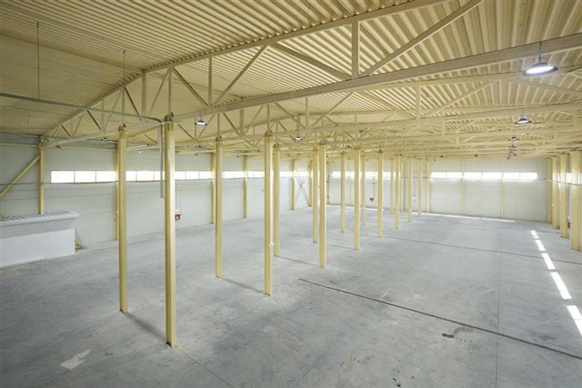 Inchiriere depozit/hala/spatiu industrial Otopeni - Centura