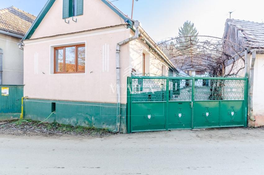 Casa Cisnadioara-Str Valea Argintului, renovata, curte si gradina - 13