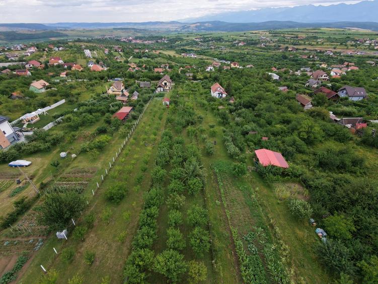 Teren intravilan 1000 mp in Sibiu Daia Noua