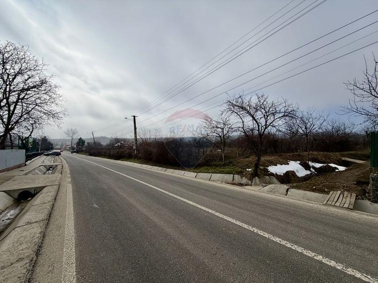 Casă cu 4 camere si teren 7727 mp Blidari