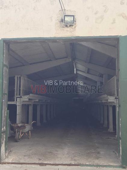 *Fermă modernă pentru export miei | 6 ha | Standarde europene | Aproape de Brăil - 6