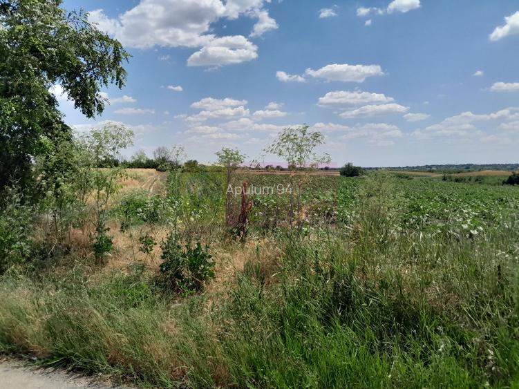 DE VANZARE 2 LOTURI LIPITE (TOTAL 16.500 MP) IN SAT TEISORI (GR) - 7