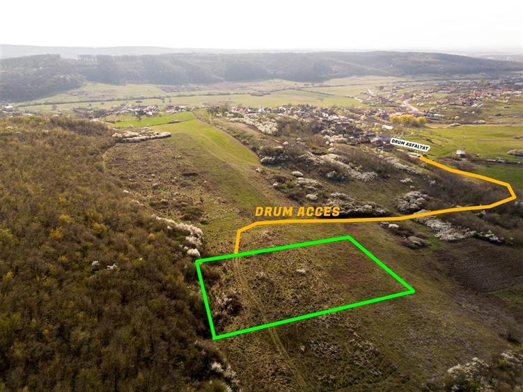 RECO Teren exclusivist 1800 mp in Betfia – panorama superba