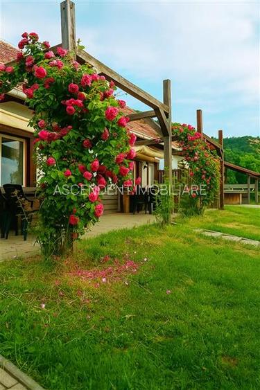 Transilvania Camping, domeniu de 14.400mp,Sanmarghita de Mures:2cladiri, apartam - 54