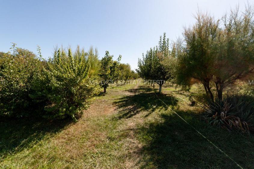 Casa visurilor cu 4000 mp livada roditoare si gradina Darmanesti-Arges - 6