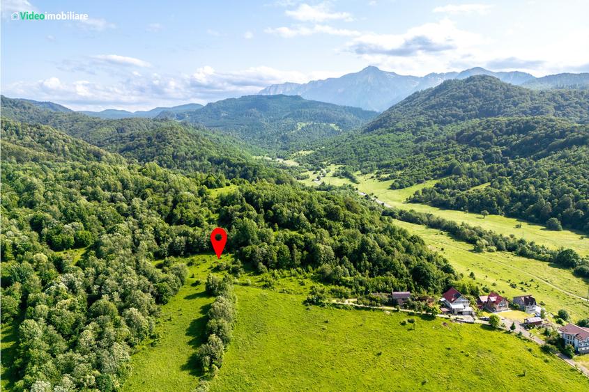 Teren cu vedere superba spre Cheile Rasnoavei, 8800 mp, la marginea pădurii