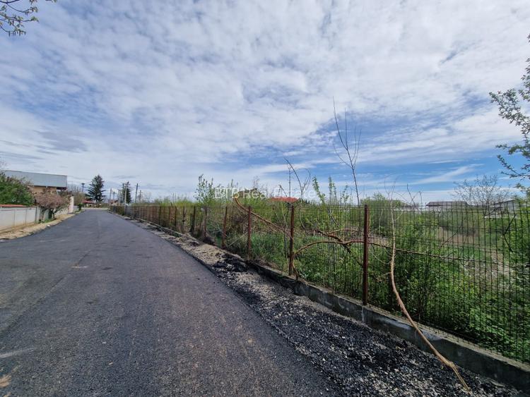 2 Loturi Teren Intravilan 1500 MP Tartasesti Deschidere 30 M / 36 M Utilitati - 3